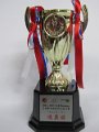 2014 – 2015年度Bonaqua全港學界精英羽毛球比賽 - 優異獎